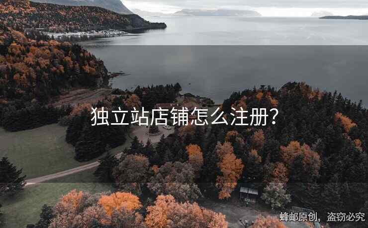 独立站店铺怎么注册？
