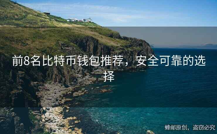 前8名比特币钱包推荐，安全可靠的选择