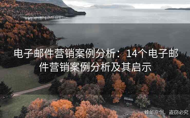 电子邮件营销案例分析：14个电子邮件营销案例分析及其启示