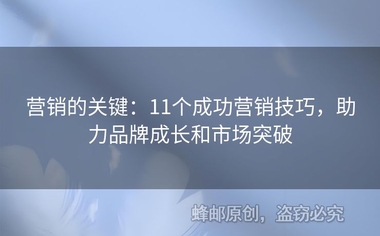 营销的关键：11个成功营销技巧，助力品牌成长和市场突破