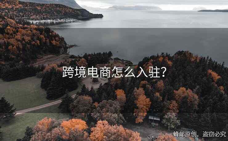 跨境电商怎么入驻？