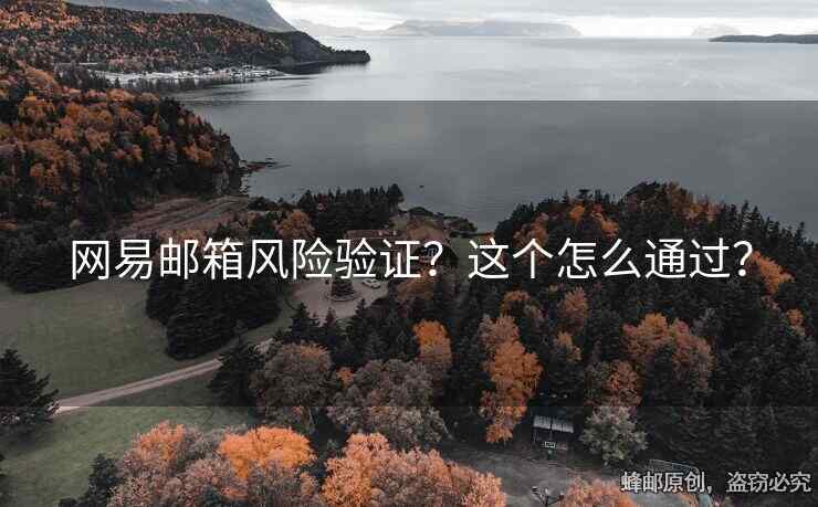 网易邮箱风险验证？这个怎么通过？
