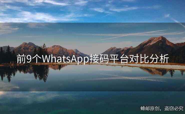 前9个WhatsApp接码平台对比分析