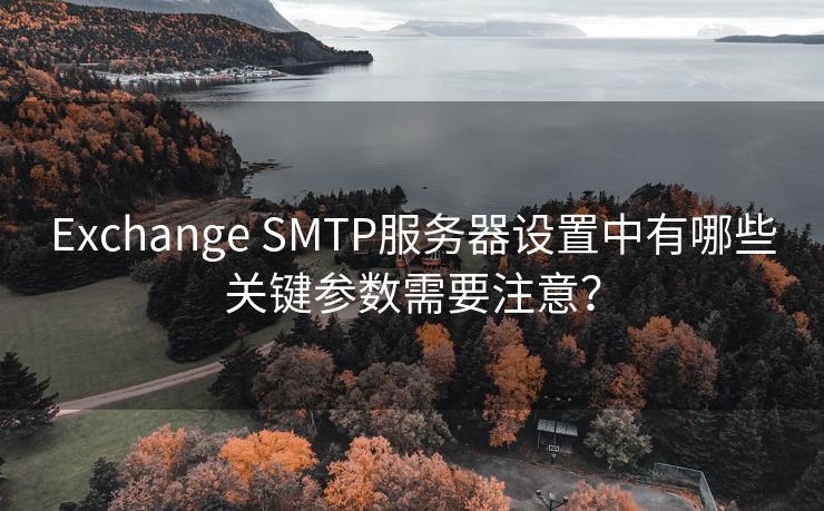 Exchange SMTP服务器设置中有哪些关键参数需要注意？