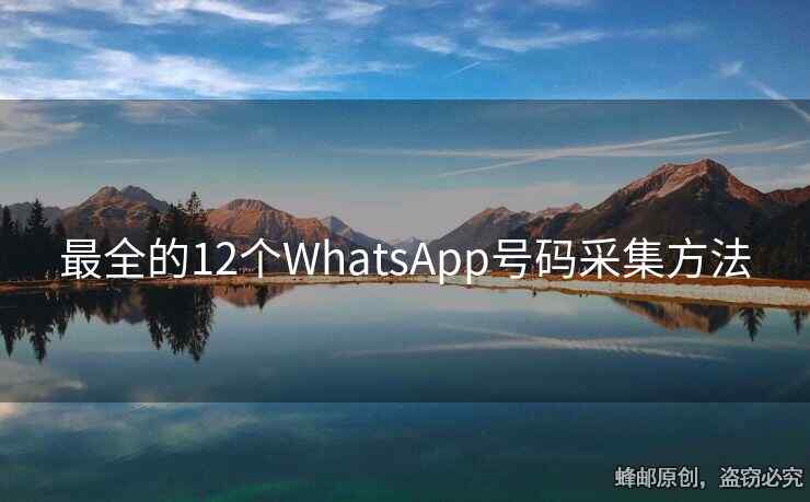 最全的12个WhatsApp号码采集方法