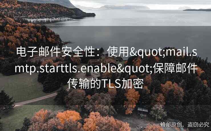 电子邮件安全性：使用"mail.smtp.starttls.enable"保障邮件传输的TLS加密