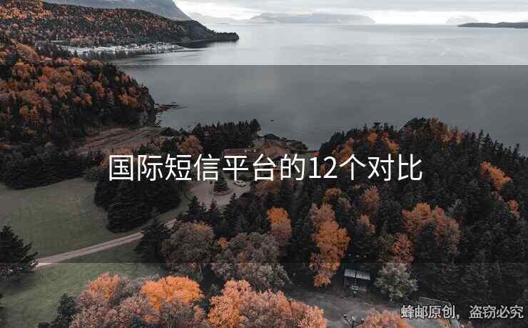 国际短信平台的12个对比