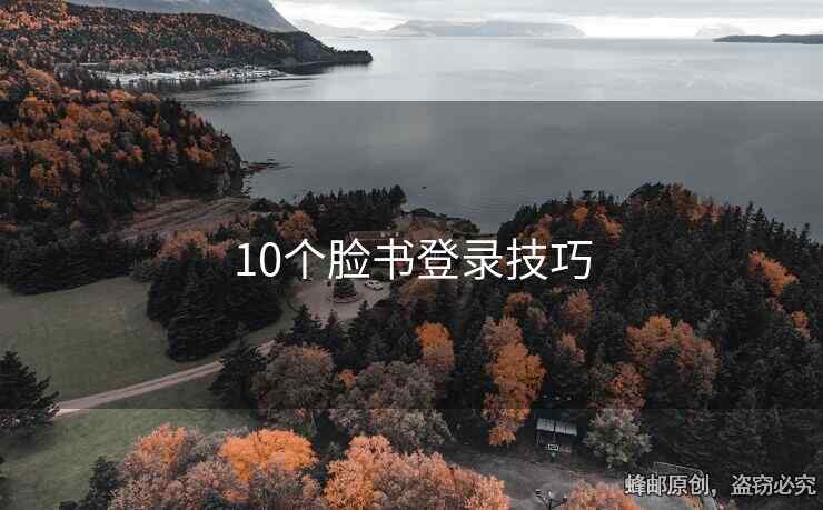 10个脸书登录技巧