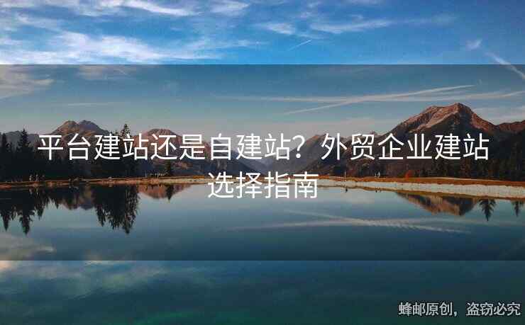 平台建站还是自建站？外贸企业建站选择指南