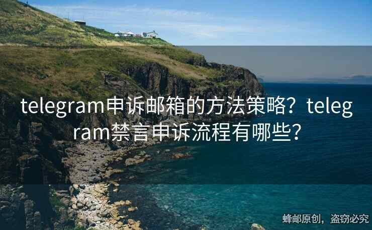 telegram申诉邮箱的方法策略？telegram禁言申诉流程有哪些？