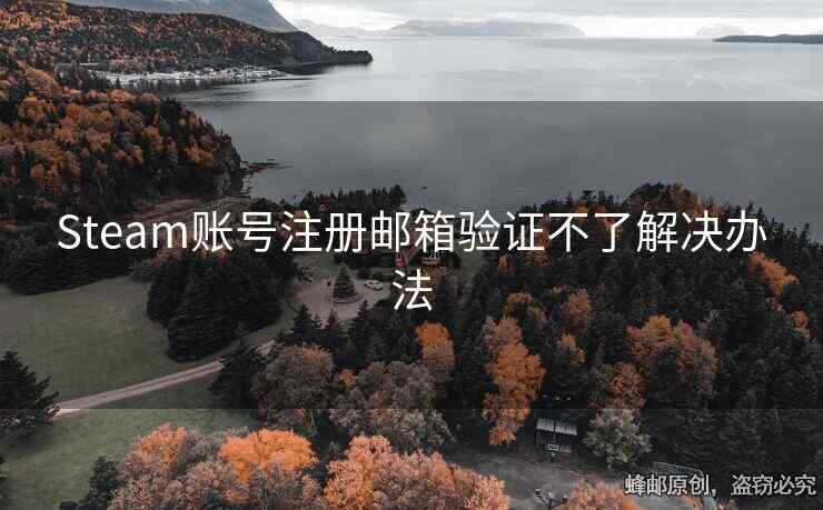 Steam账号注册邮箱验证不了解决办法
