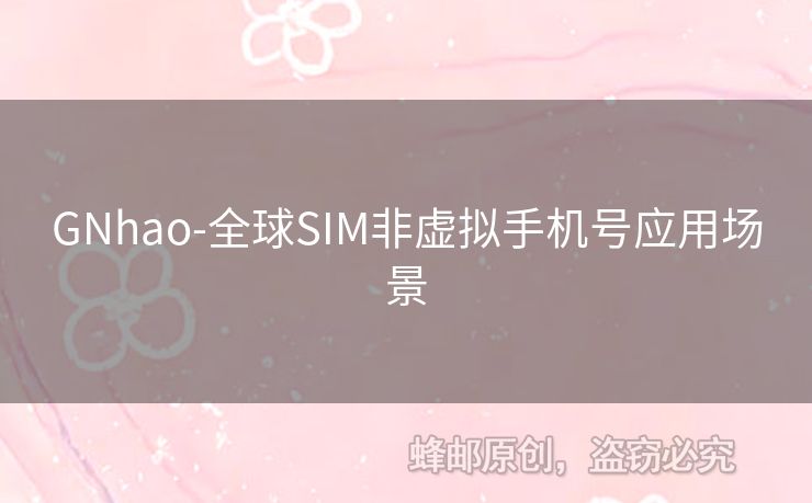 GNhao-全球SIM非虚拟手机号应用场景