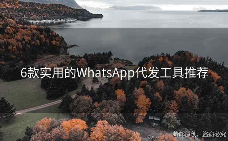 6款实用的WhatsApp代发工具推荐