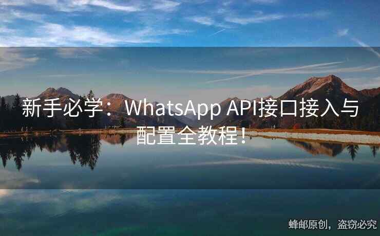 新手必学：WhatsApp API接口接入与配置全教程！