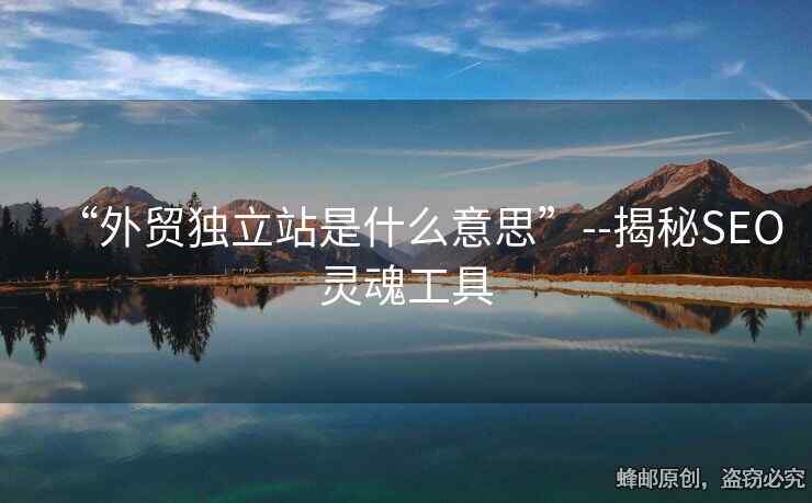 “外贸独立站是什么意思”--揭秘SEO灵魂工具