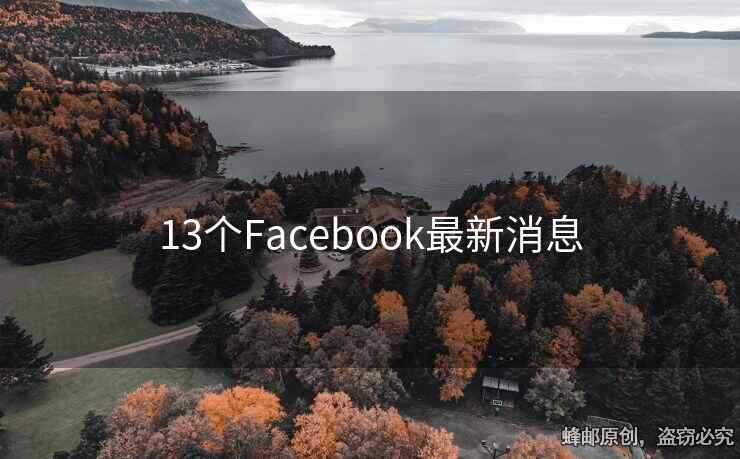 13个Facebook最新消息