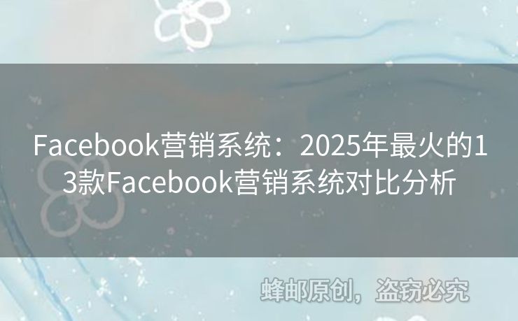 Facebook营销系统：2025年最火的13款Facebook营销系统对比分析