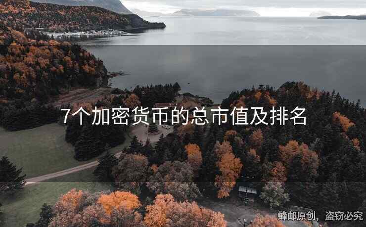 7个加密货币的总市值及排名