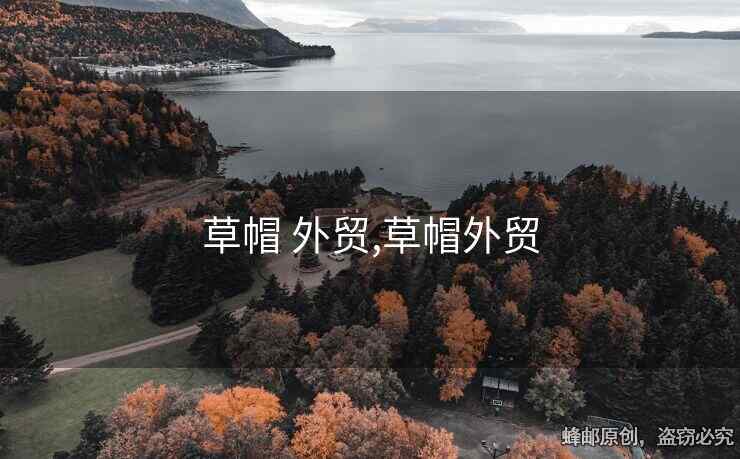 草帽 外贸,草帽外贸