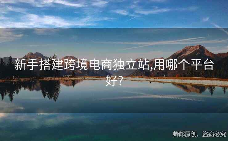 新手搭建跨境电商独立站,用哪个平台好?