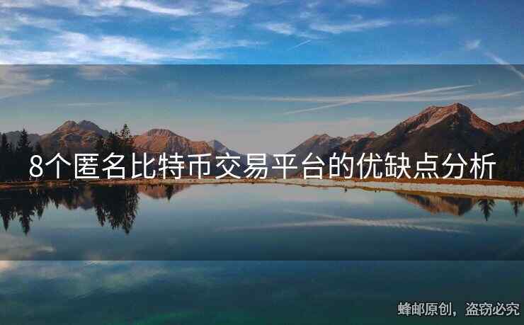 8个匿名比特币交易平台的优缺点分析