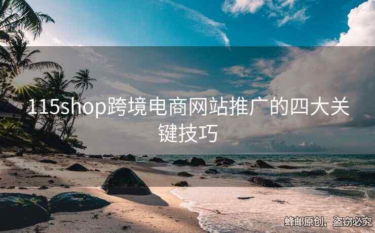 115shop跨境电商网站推广的四大关键技巧