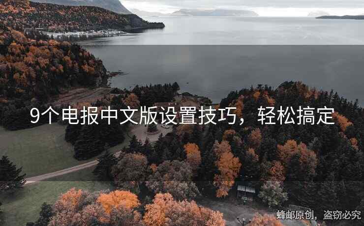 9个电报中文版设置技巧，轻松搞定