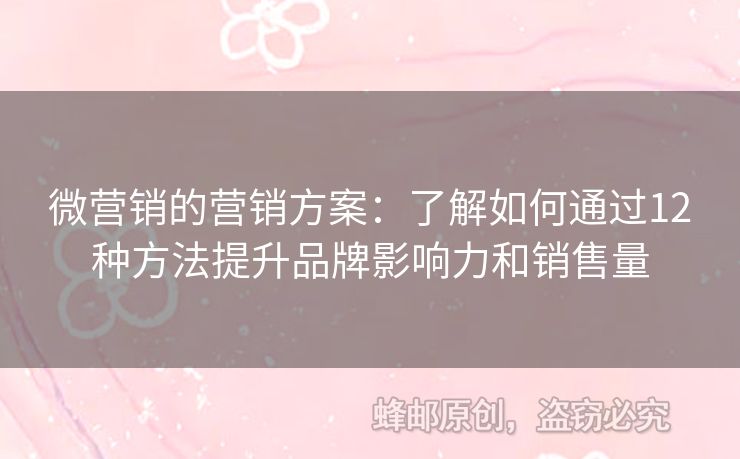 微营销的营销方案：了解如何通过12种方法提升品牌影响力和销售量