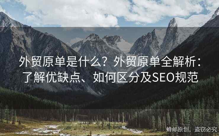 外贸原单是什么？外贸原单全解析：了解优缺点、如何区分及SEO规范
