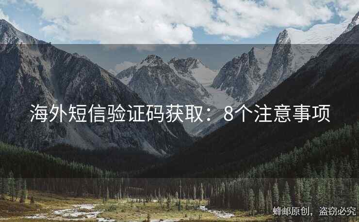 海外短信验证码获取：8个注意事项