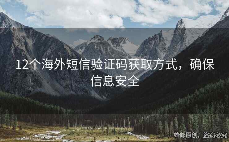 12个海外短信验证码获取方式，确保信息安全