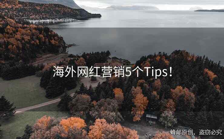 海外网红营销5个Tips！