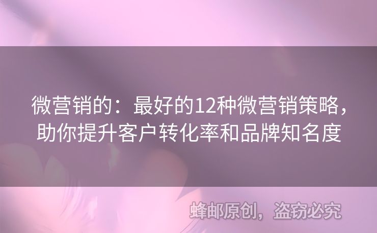 微营销的：最好的12种微营销策略，助你提升客户转化率和品牌知名度