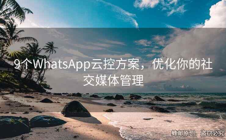 9个WhatsApp云控方案，优化你的社交媒体管理
