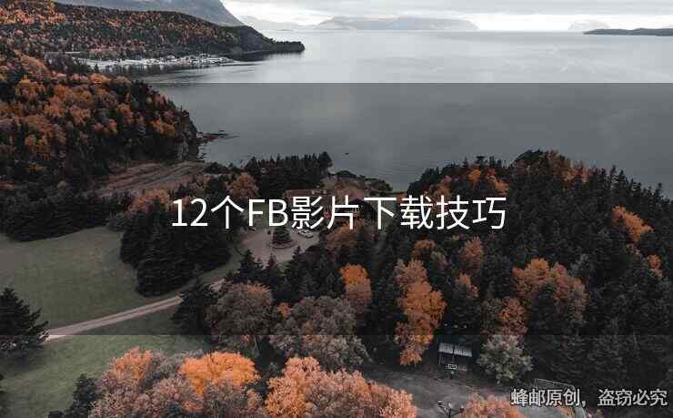 12个FB影片下载技巧
